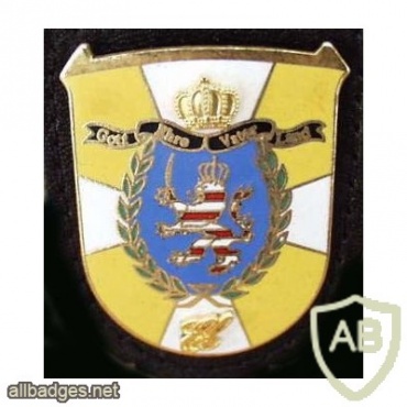 GERMANY Bundeswehr - Staff & HQ Company, 84th Home Defense Regiment pocket badge img9903