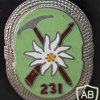 231st Mountain Rifles Battalion badge, type 2 img9918