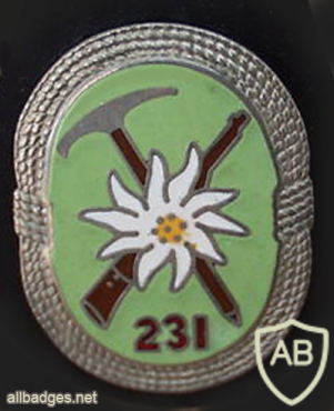 231st Mountain Rifles Battalion badge, type 2 img9918
