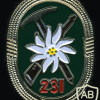 231st Mountain Rifles Battalion