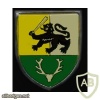 12th Armored Grenadiers Battalion img9971