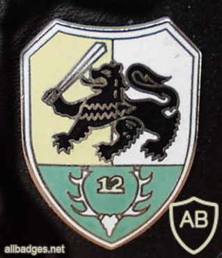 12th Armored Grenadiers Battalion badge, type 2 img9959