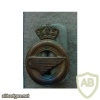 Belgium Army Service Corps collar badge img9980