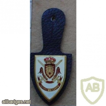 Belgian Army HQ 1(BE) Corps pocket badge img9981