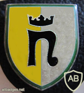 13th Armored Grenadiers Battalion img9962