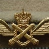 Belgian Army Pilot wings officer