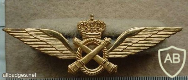 Belgian Army Pilot wings officer img9982