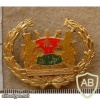 Bophuthatswana Army Warrant Officer rank badge