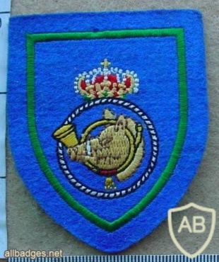 Belgium Chasseurs arm patch, old img9989