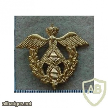 Belgium Administrative Corps cap badge, gold img9986