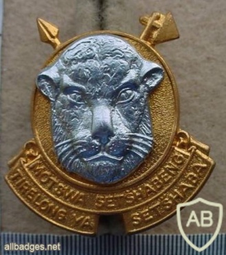 Bophuthatswana Defence Force cap badge img10017