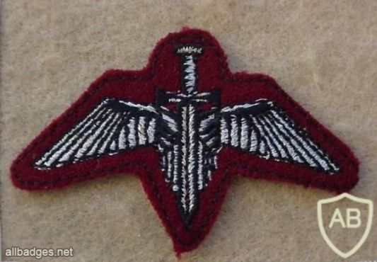 Bophuthatswana Special Forces beret badge img10021