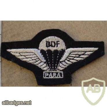 Botswana Defence Force parachute wings, cloth img10026