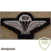Botswana Defence Force parachute wings, cloth