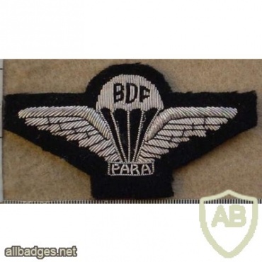 Botswana Defence Force parachute wings, cloth img10025