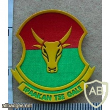 Bophuthatswana Presidents Guard Unit cap badge img10022