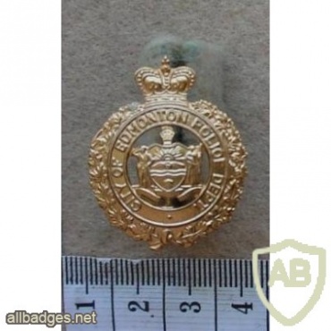 City of Edmonton Police Department collar badge img10085