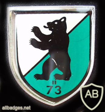 73rd Armored Grenadiers Battalion img10069