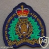 Royal Canadian Mounted Police arm patch