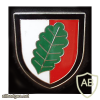  142nd Armored Grenadiers Battalion img10109