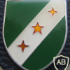  202nd Armored Grenadiers Battalion