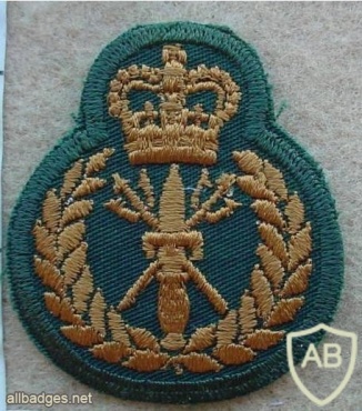 Canadian Navy Combat Diver badge, combat dress img10136
