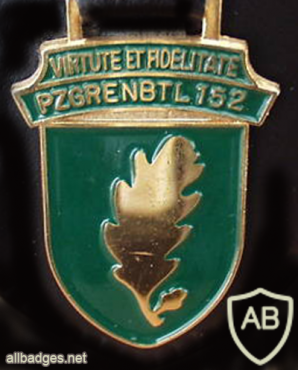  152nd Armored Grenadiers Battalion img10110