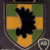  193rd Armored Grenadiers Battalion img10129