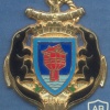 FRANCE 9th Marine Infantry Battalion pocket badge