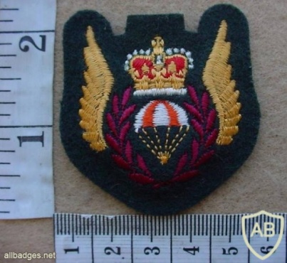 Royal Canadian Air Force Parachute Rescue wings img10219