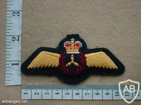 Royal Canadian Air Force Flight Engineer wings img10210