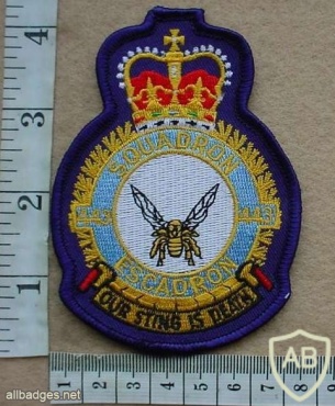 Royal Canadian Air Force 443 Maritime Helicopter Sqn patch img10223