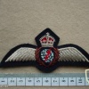 Royal Canadian Air Force Navigator wings