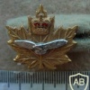 Royal Canadian Air Force collar badge