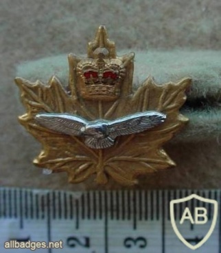 Royal Canadian Air Force collar badge img10225
