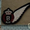 Royal Canadian Air Force Bomb Aimer wing
