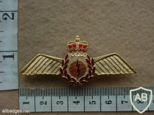Royal Canadian Air Force Navigator wings, metal img10213