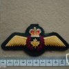 Royal Canadian Air Force Pilot wings img10214