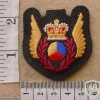 RCAF Tactical Helicopter Observer wings img10217