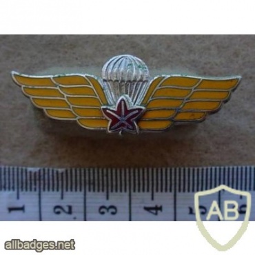 Canadian army dual qualification paratrooper wings img10229