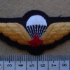 Canadian army paratrooper wings, red leaf