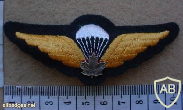 Canadian army paratrooper wings, white metal leaf img10228