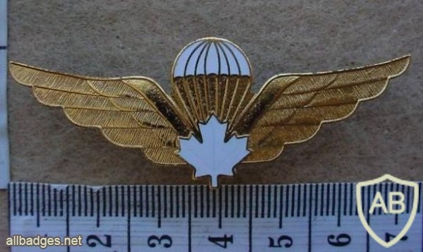 Canadian army paratrooper wings, metal img10235