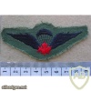 Canadian army paratrooper wings, made in the USA for American paratroopers who qualified for Canadian para wings, combat dress img10234