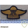 Canadian army Parachute Rigger wings, 1st pattern