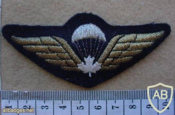 Canadian army paratrooper wings 1991 img10230