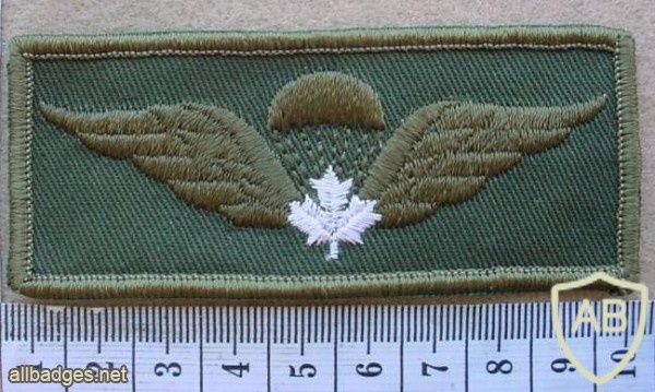 Canadian army paratrooper wings, green img10231