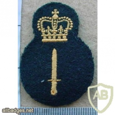 Canadian Army Infantry level 3 img10258