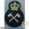 Canadian Army Pioneer level- 3 img10261