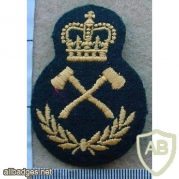 Canadian Army Pioneer level 4 img10269